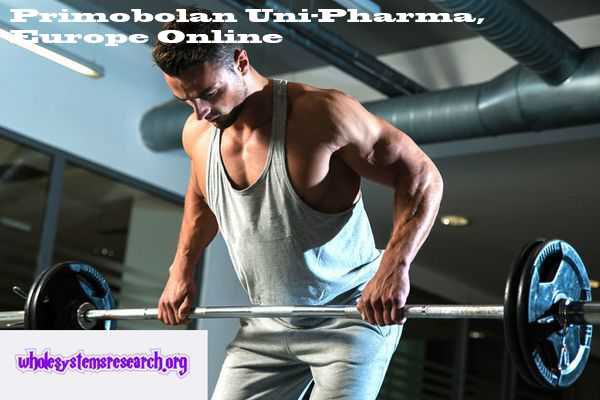 anadrol 50 oxymetholone dosage Strategies Revealed